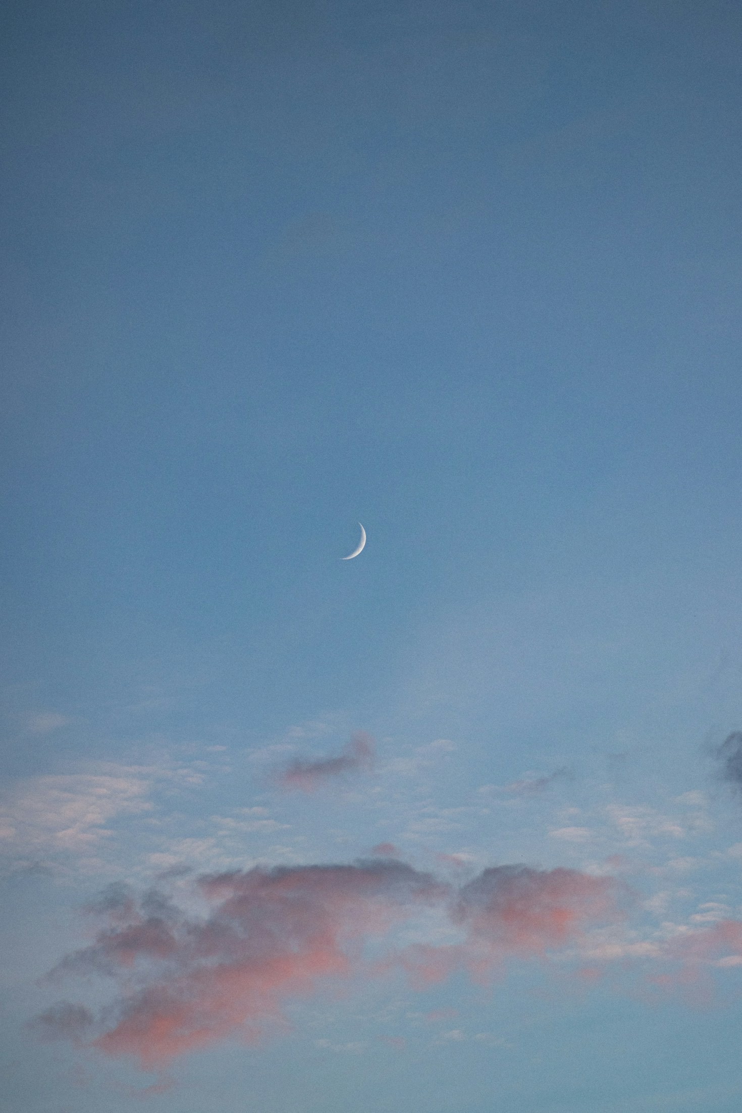 Creative Astrology: Finding Your Muse Among the Stars